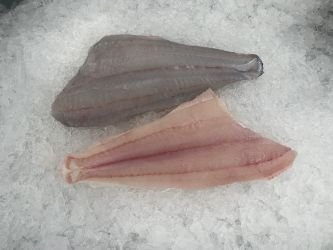 3 lbs Flounder Fillet