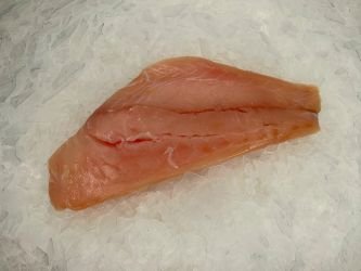 Red Snapper