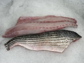 3 lbs Rockfish (Striped Bass)