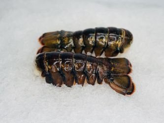 Large Lobster Tails - 2 Pack