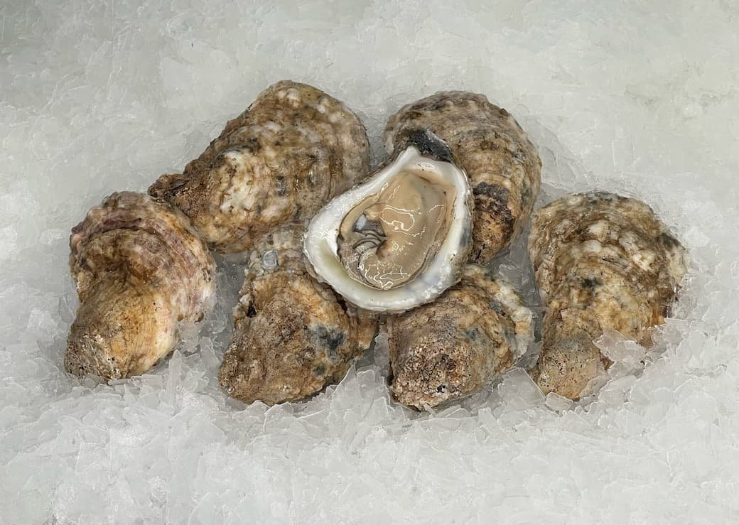 Chesapeake oysters seafood selection