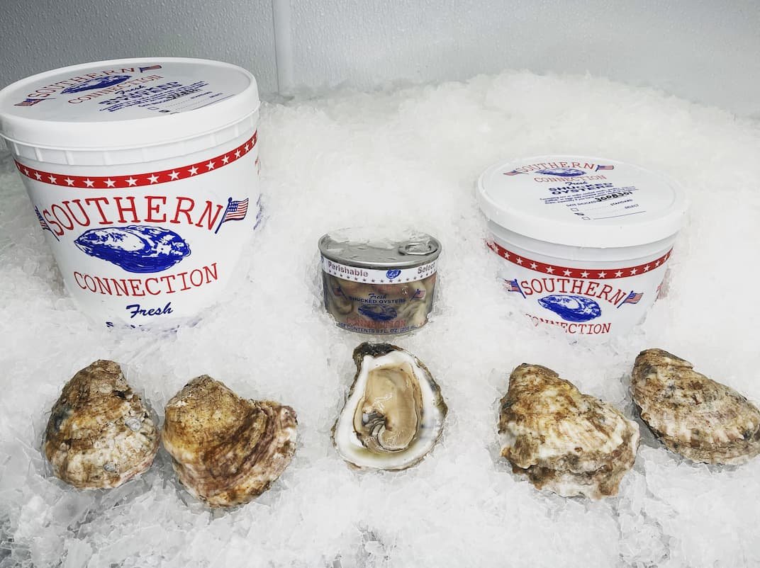 Oysters on ice seafood selection
