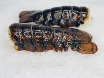 X-Jumbo Lobster Tails - 2 Pack