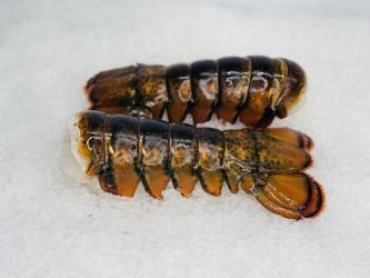 X-Large Lobster Tails - 2 Pack